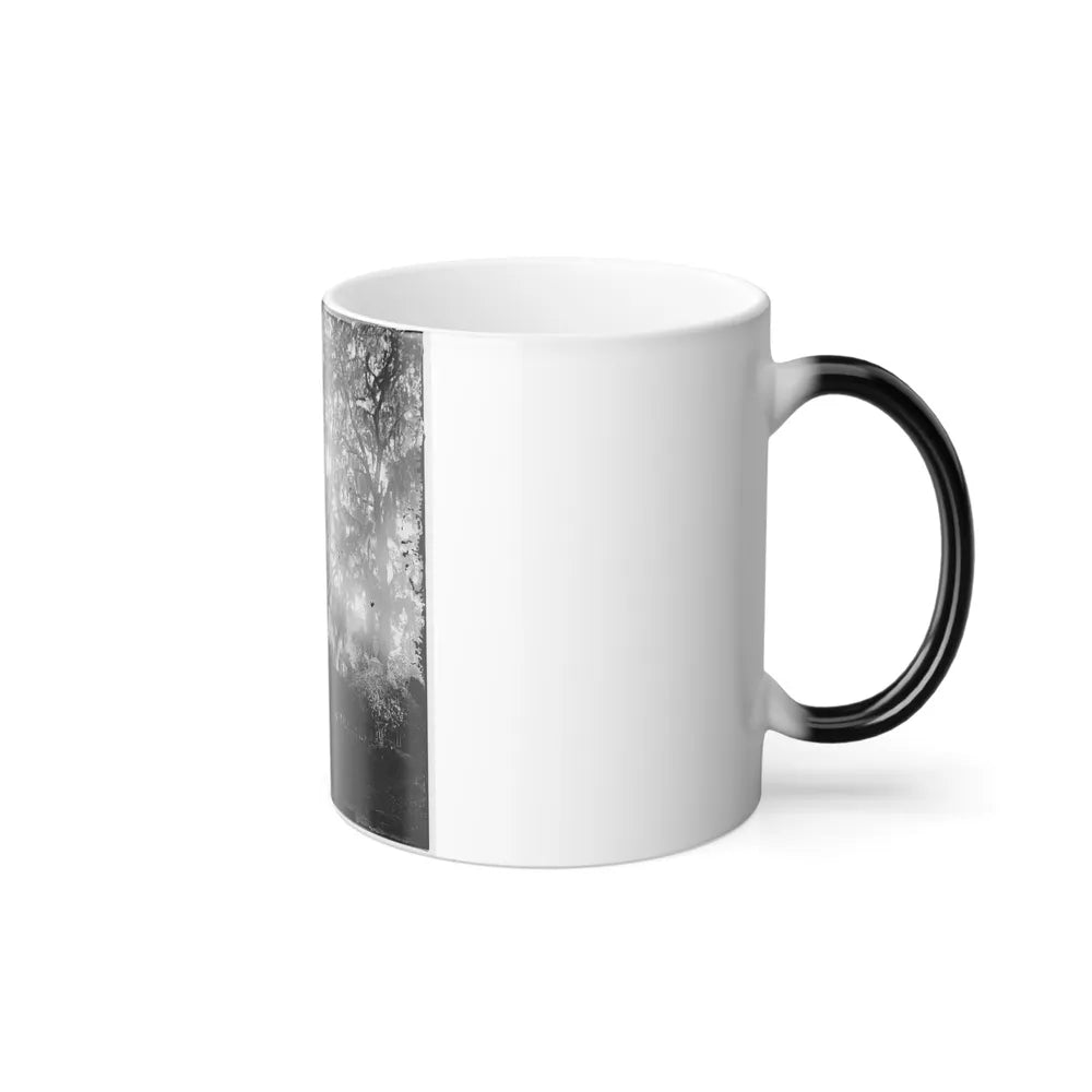 Savannah, Georgia. View of Cemetery (U.S. Civil War) Color Changing Coffee Mug 11oz-Go Mug Yourself
