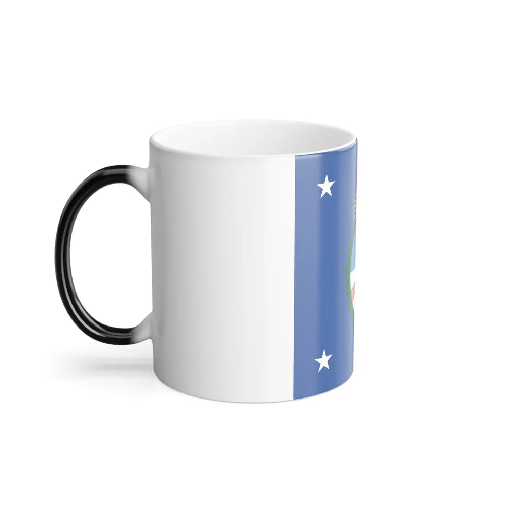 Standard of the President of Argentina Land - Color Changing Coffee Mug-Go Mug Yourself