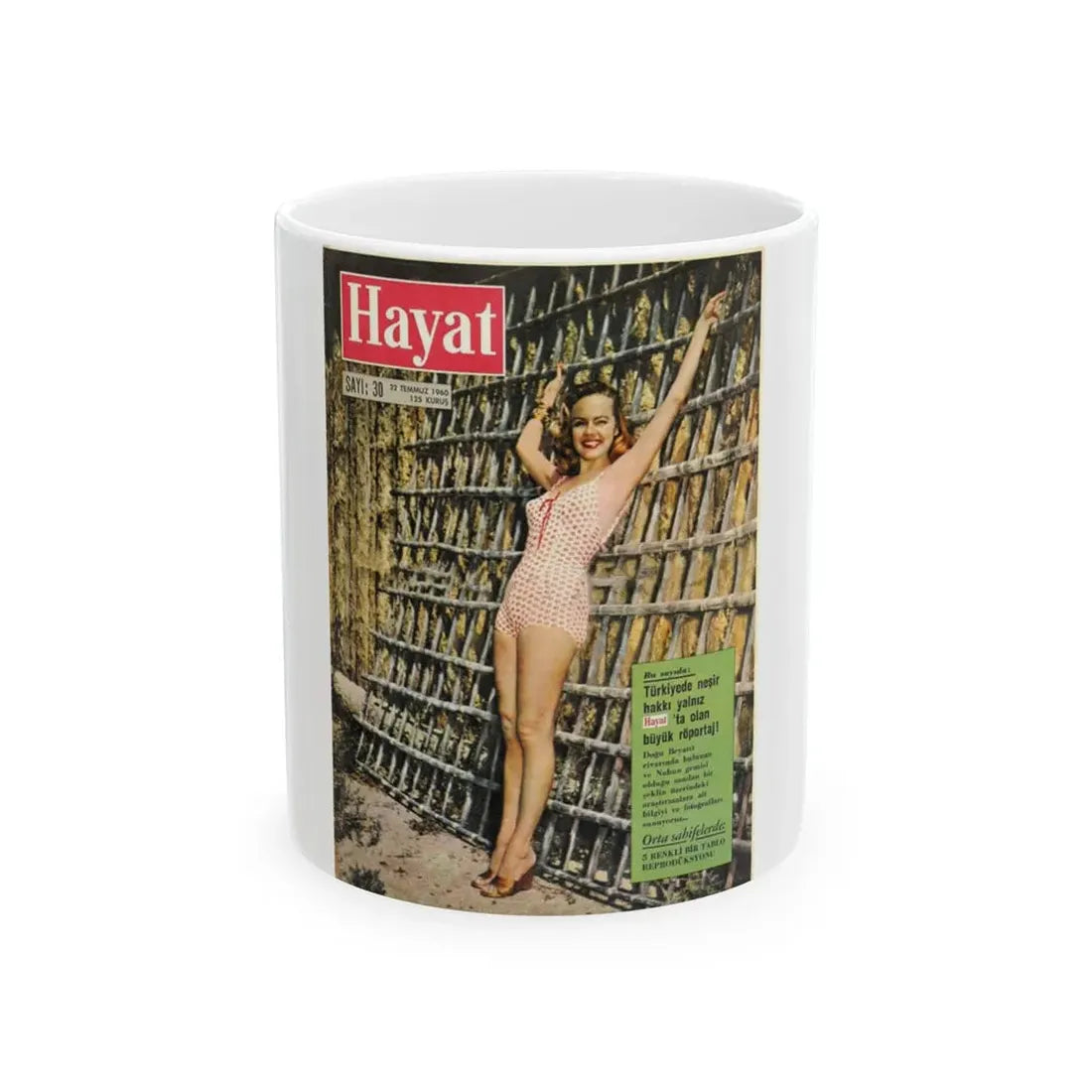 Terry Moore #166 - Mag. Cover (Vintage Female Icon) White Coffee Mug 11oz - Go Mug Yourself