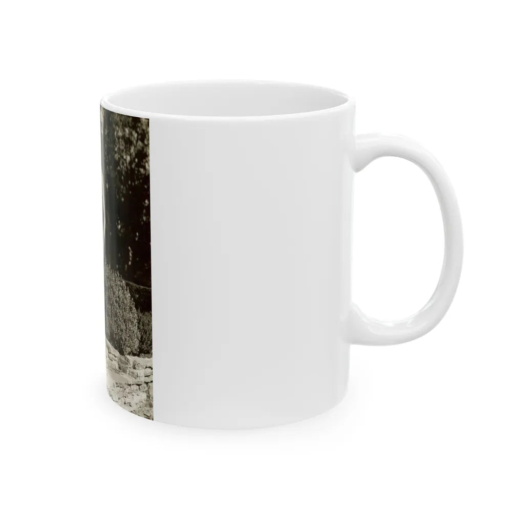 Terry Moore #233 (Vintage Female Icon) White Coffee Mug-Go Mug Yourself