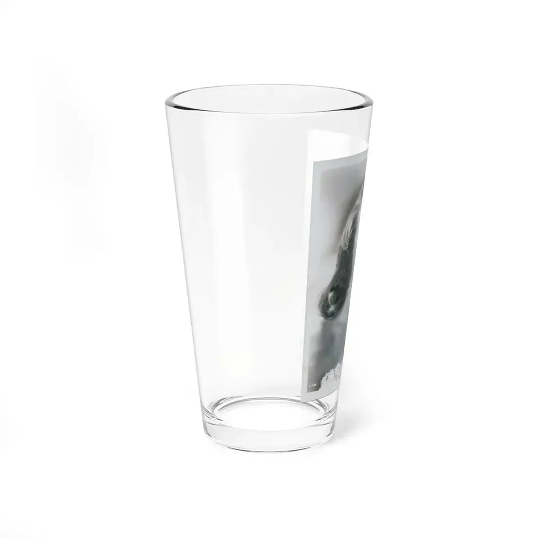 Terry Moore #3111 (Vintage Female Icon) Pint Glass 16oz - Go Mug Yourself