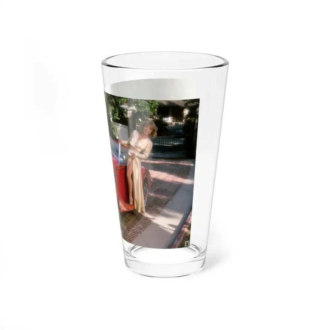 Terry Moore #417 - Unreleased Aug. '84 Playboy Photo from shoot non nude (Vintage Female Icon) Pint Glass 16oz - Go Mug Yourself