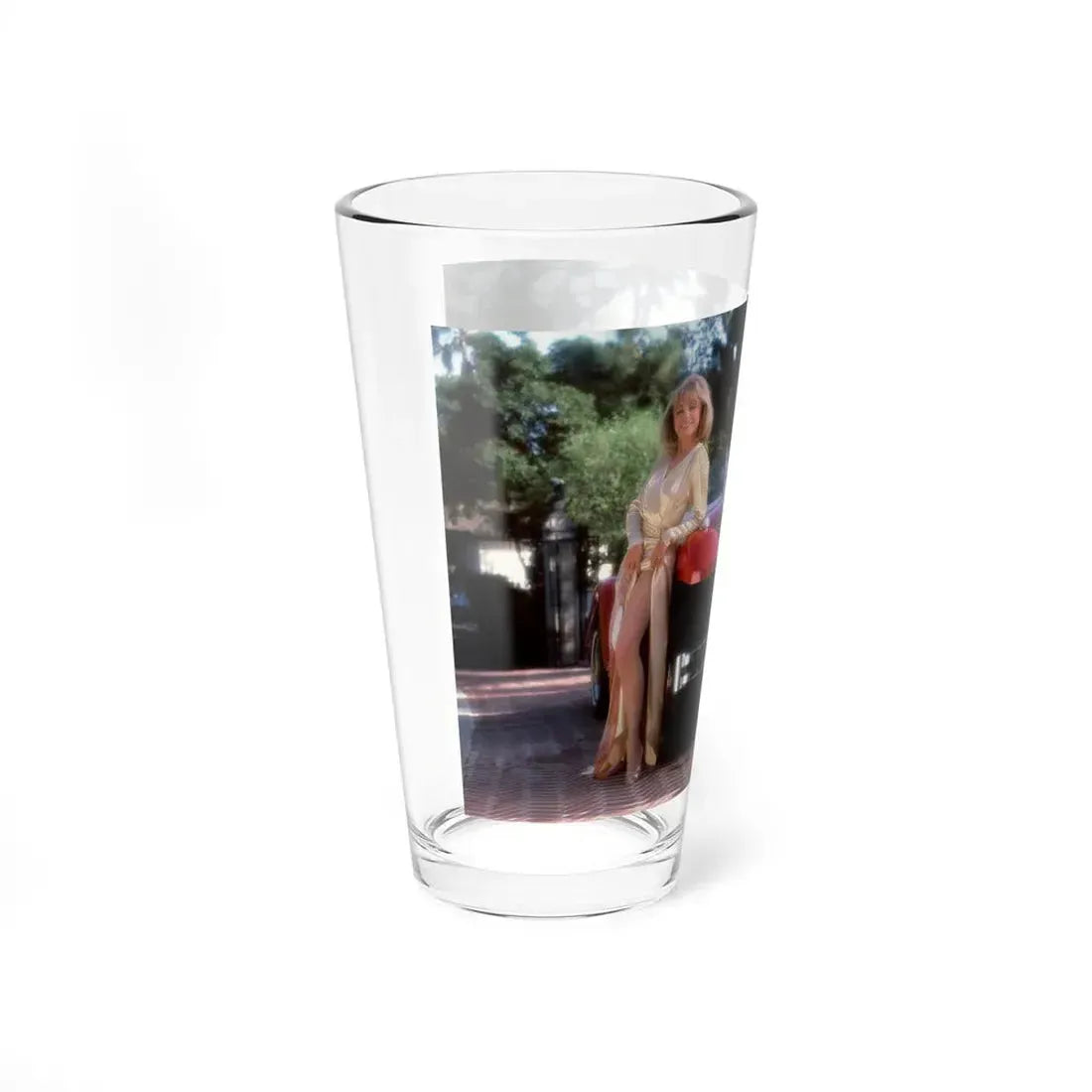 Terry Moore #418 - Unreleased Aug. '84 Playboy Photo from shoot non nude (Vintage Female Icon) Pint Glass 16oz - Go Mug Yourself