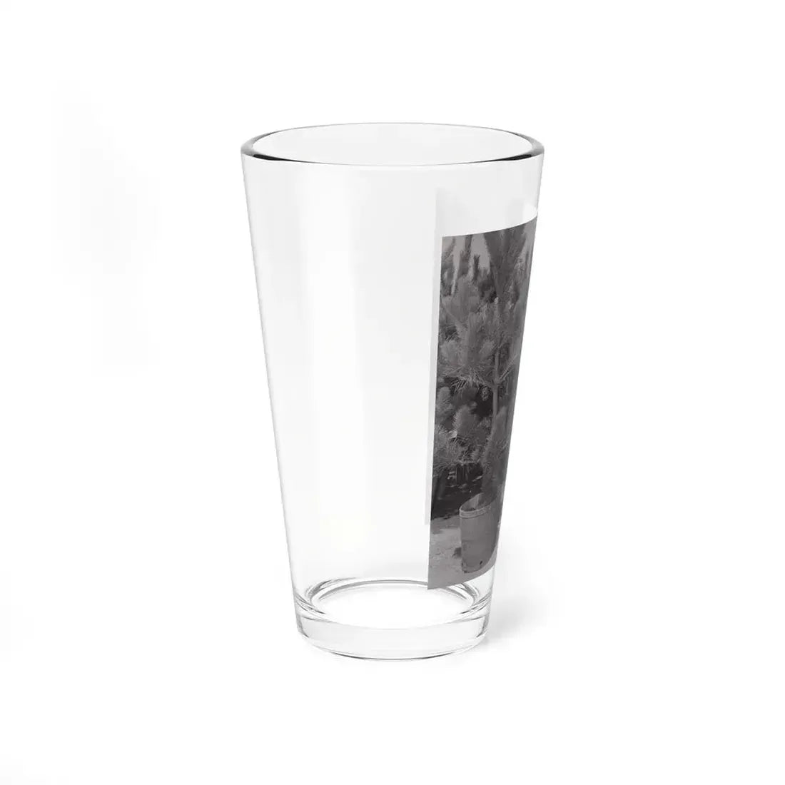 Terry Moore #676 (Vintage Female Icon) Pint Glass 16oz - Go Mug Yourself