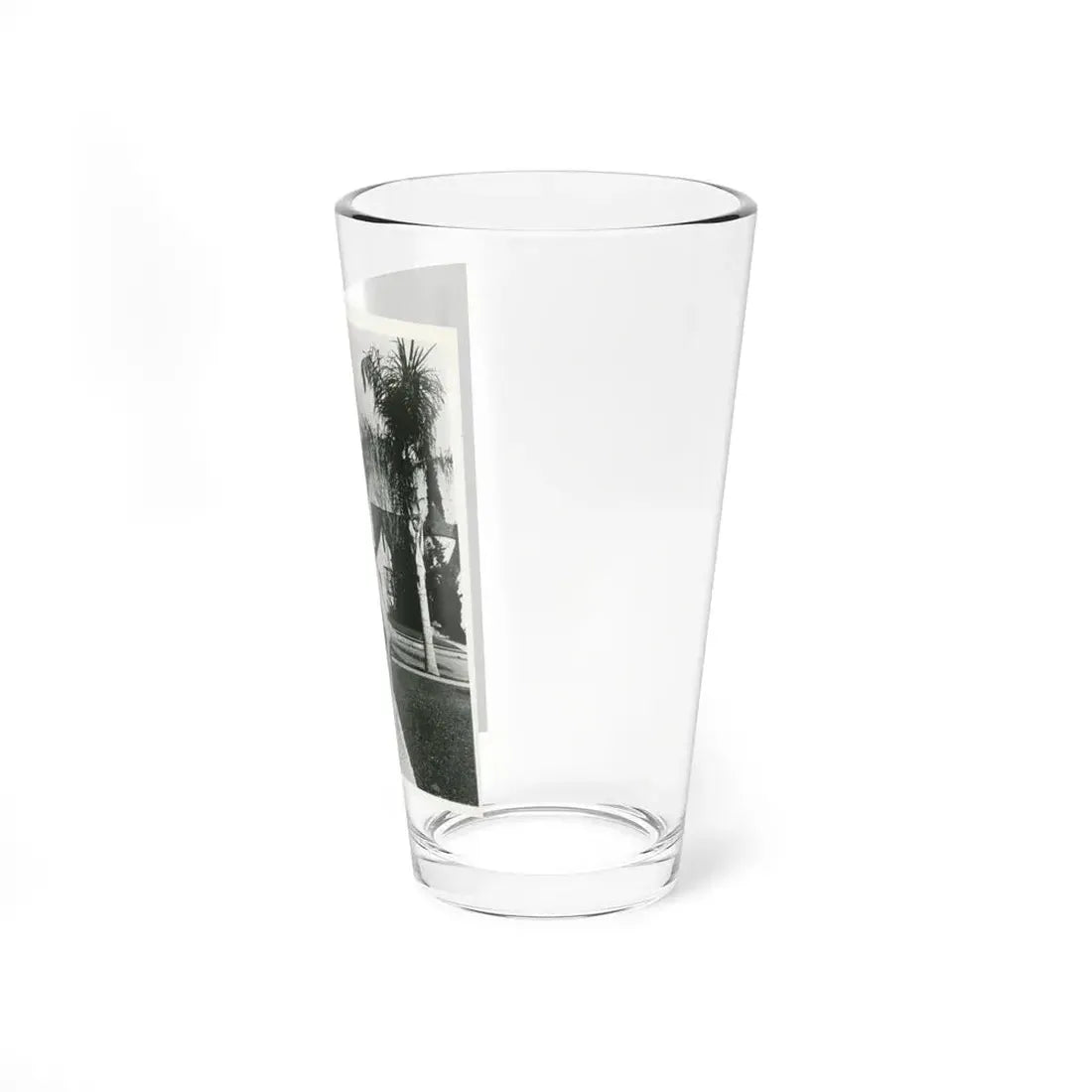 Terry Moore #703 - 8x10 1-Piece Swimsuit B&W Cheesecake Vintage Pin-Up Photo (Vintage Female Icon) Pint Glass 16oz - Go Mug Yourself