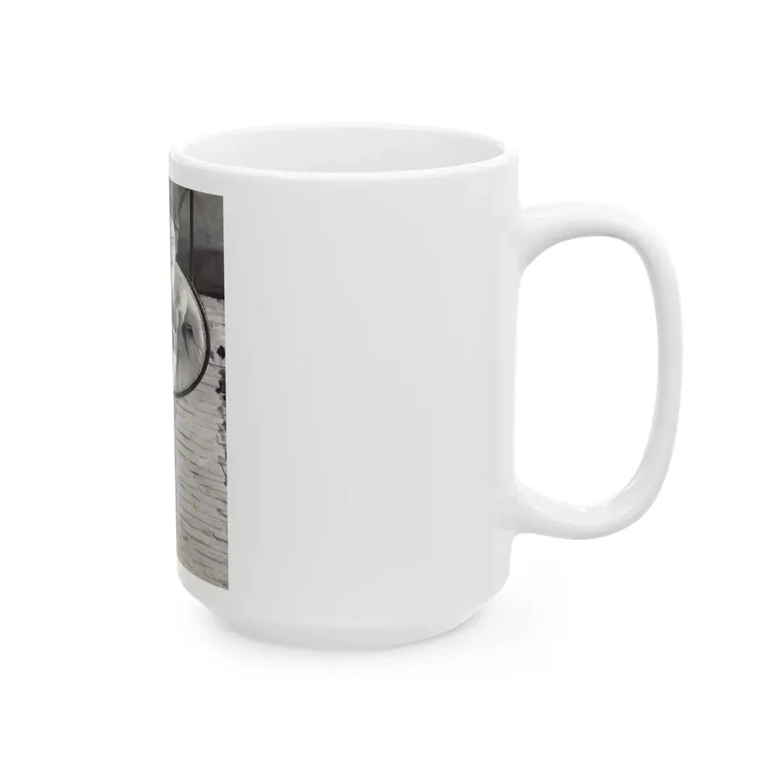 Terry Moore #732 - 8x10 1953 B&W Two Piece Full Body Swimsuit Barefoot Cheesecake Photo from 20th Century Fox Photo Shoot (Vintage Female Icon) White Coffee Mug - Go Mug Yourself
