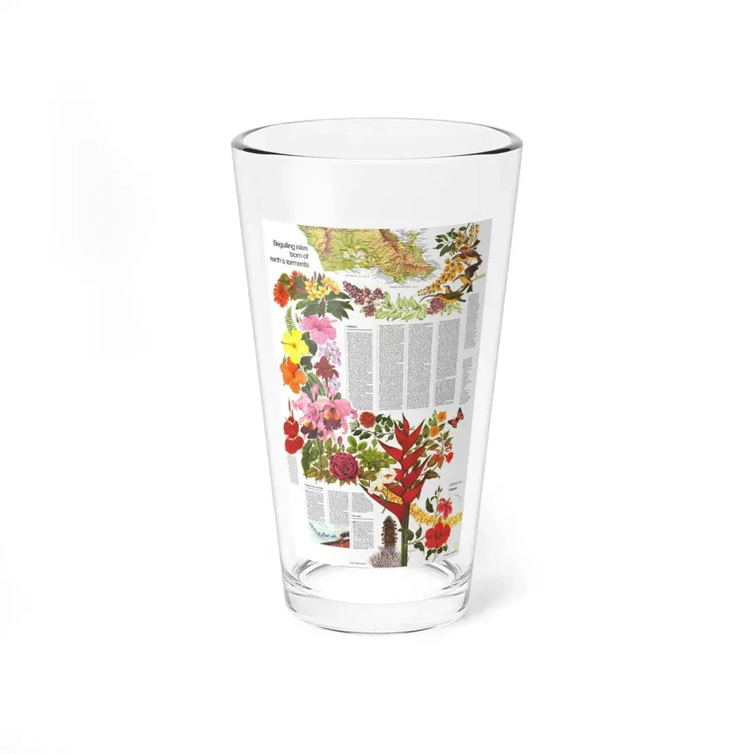 USA - Hawaii, Beguiling Isles (1976) (Map) Pint Glass 16oz 16oz - Go Mug Yourself
