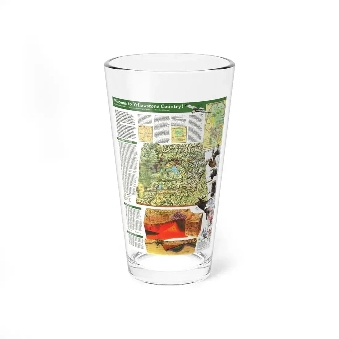 USA - Yellowstone and Grand Teton 2 (1989) (Map) Pint Glass 16oz 16oz - Go Mug Yourself
