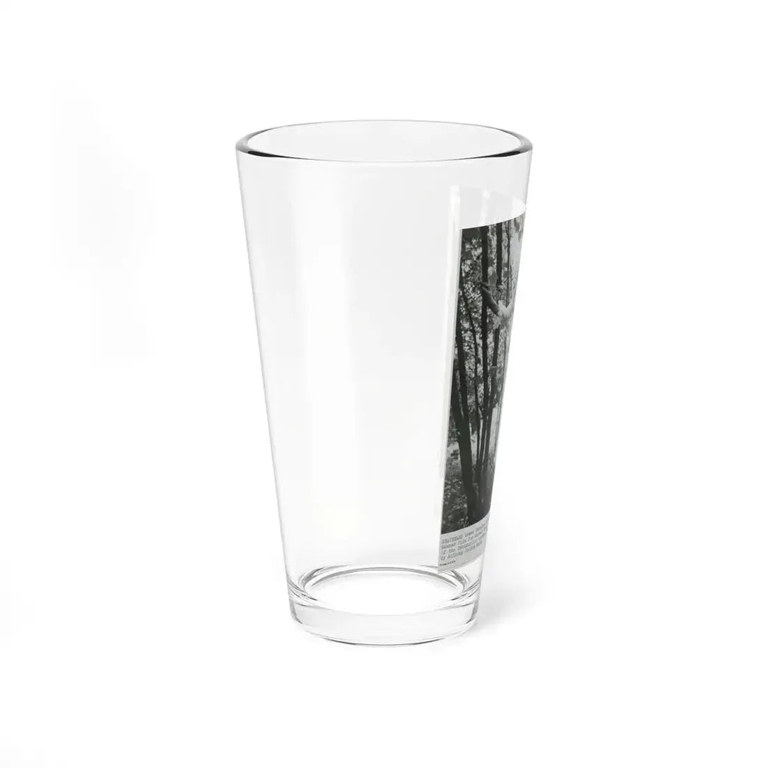 Veronica Carlson #221 (Vintage Female Icon) Pint Glass 16oz - Go Mug Yourself