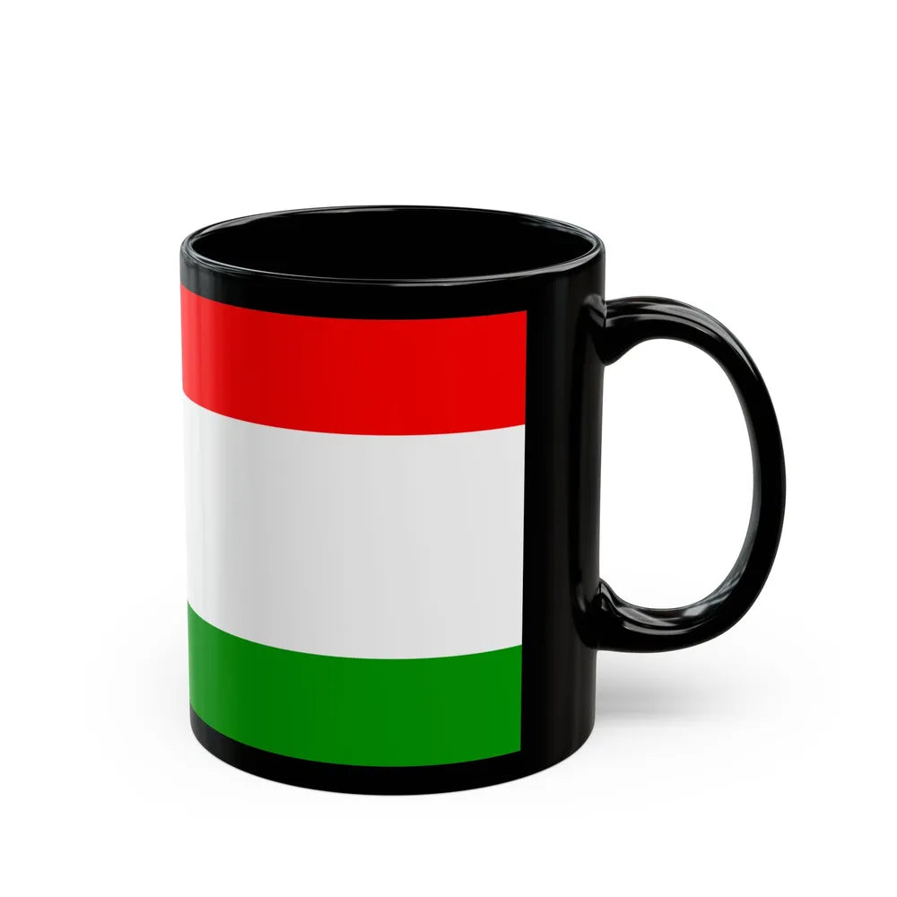 Flag of Central Bosnia Canton Bosnia and Herzegovina - Black Coffee Mug-Go Mug Yourself