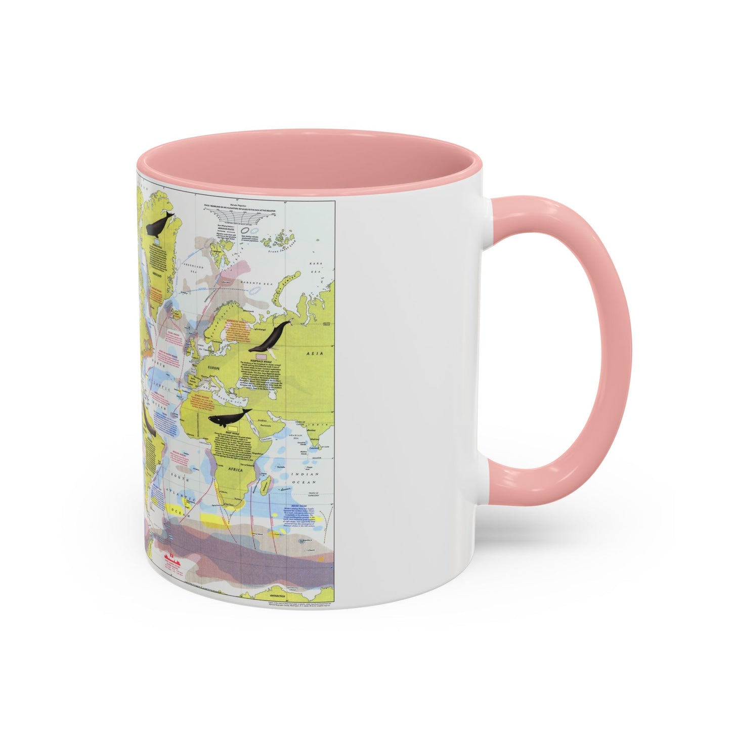 Great Whales, Migration and Range (1976) (Map) Accent Coffee Mug