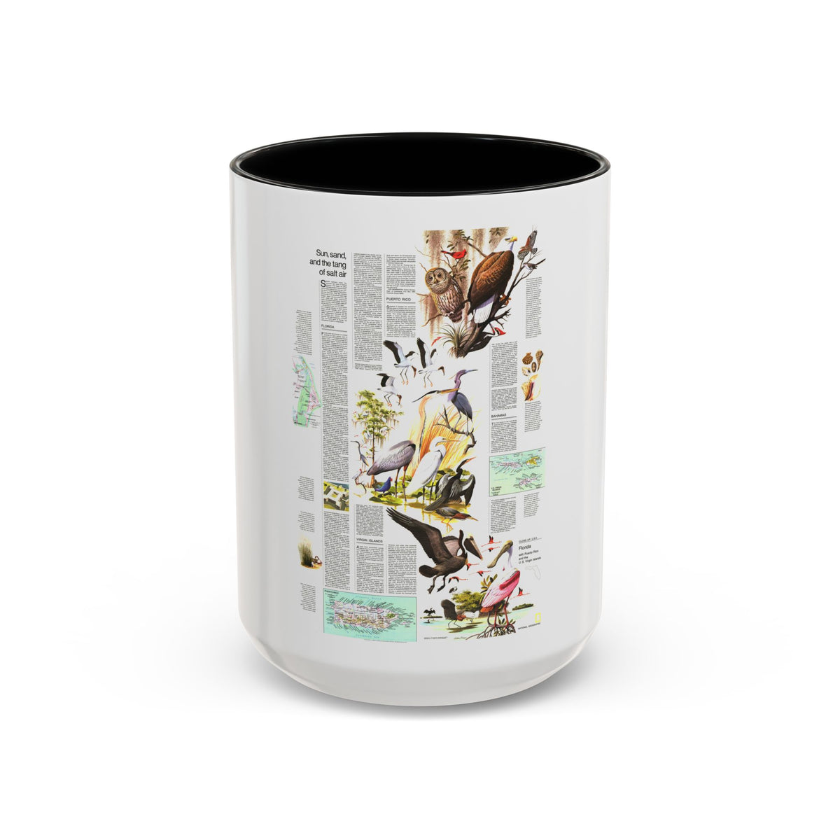 USA - Florida 2 (1973) (Map) Accent Coffee Mug