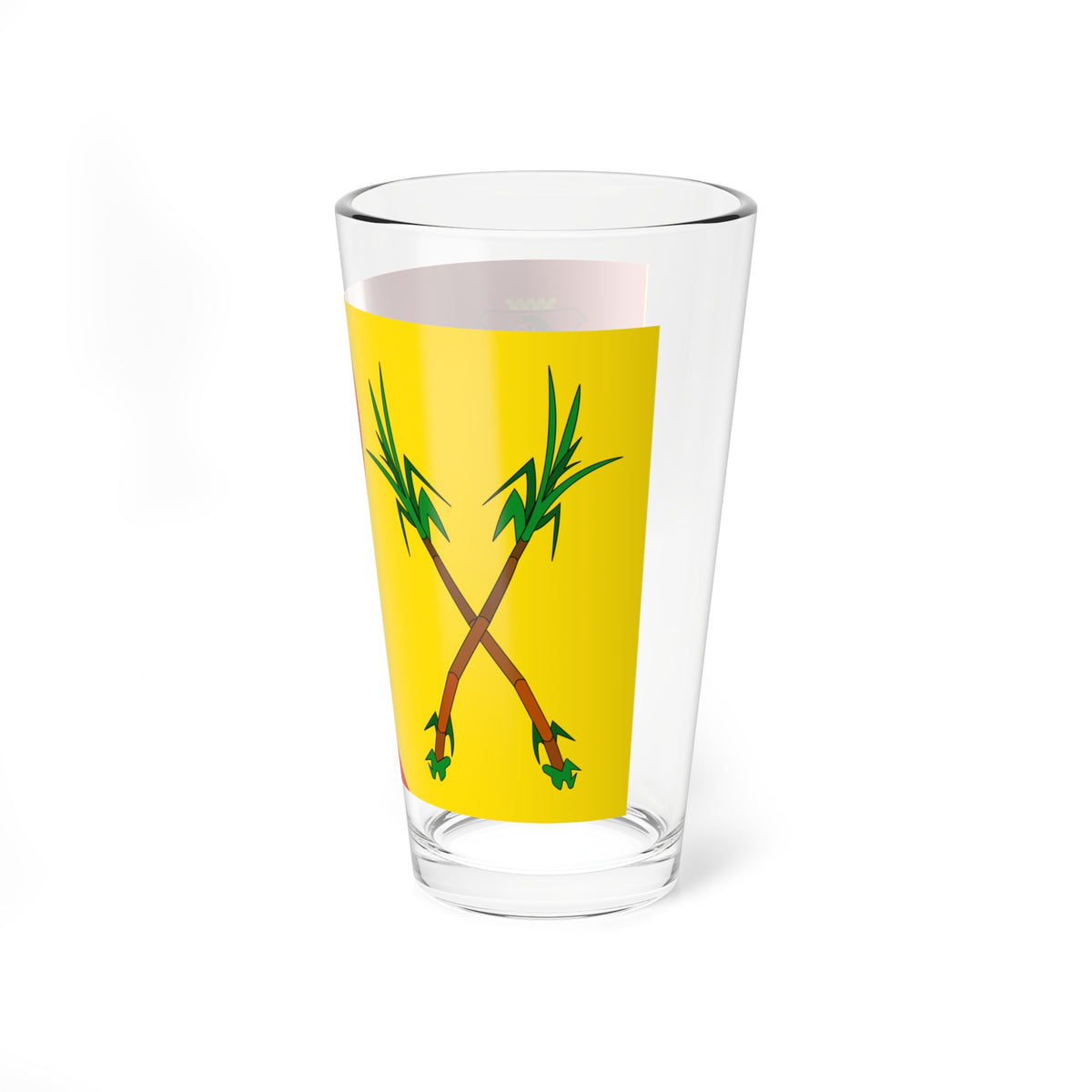 Bandera del Municipio Campo Elias (Venezuela) Pint Glass 16oz