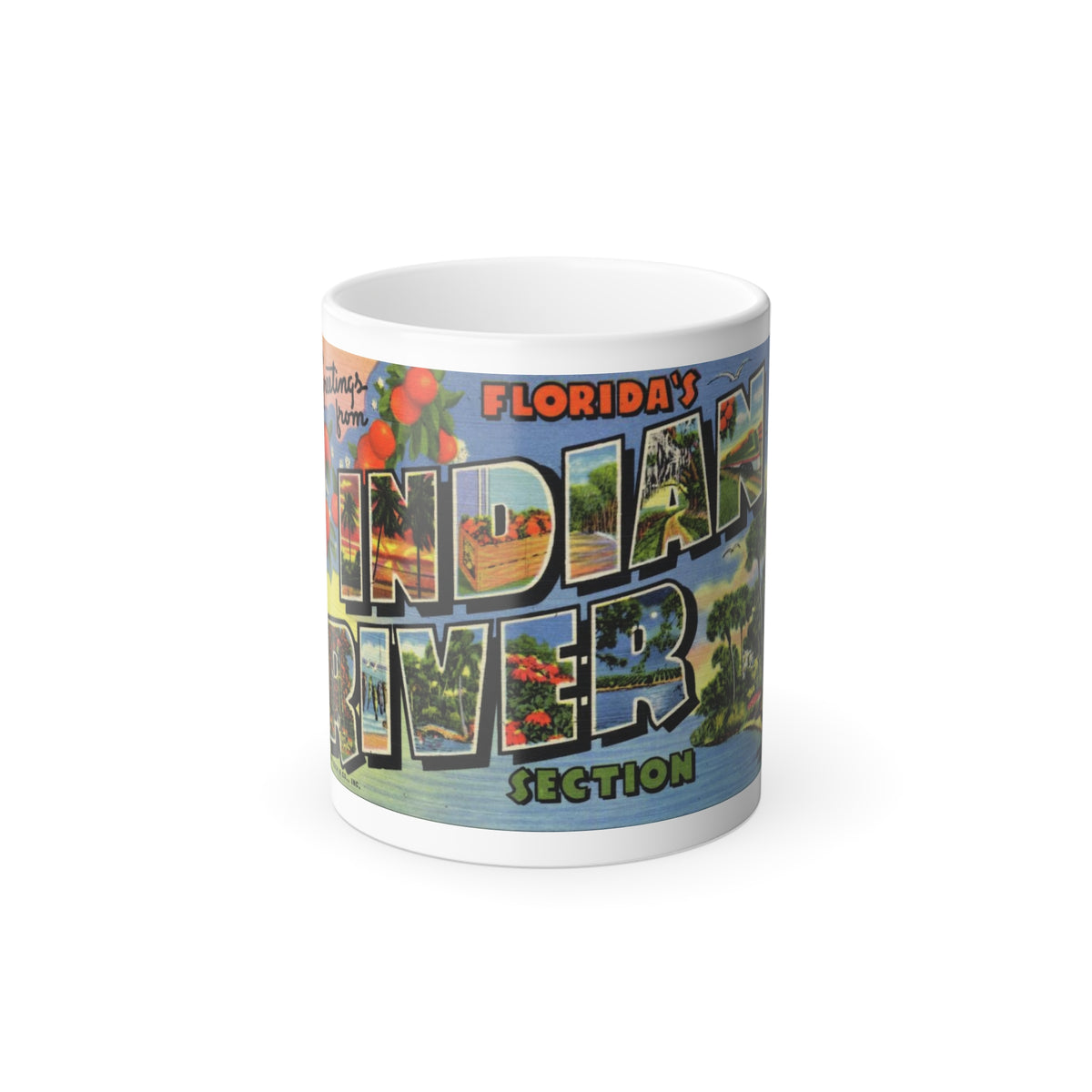 Greetings from Floridas Indian River section (Greeting Postcards) Color Changing Mug 11oz