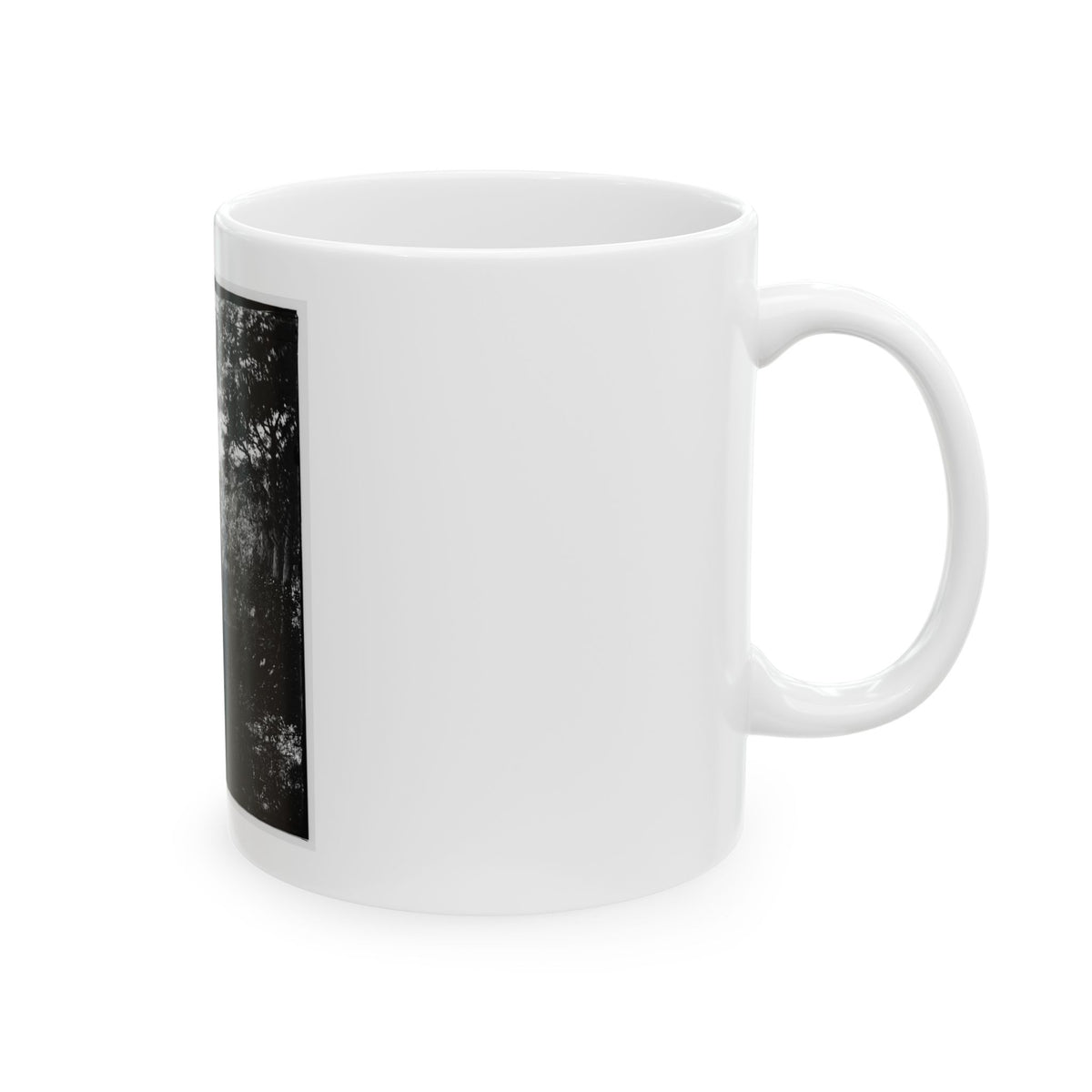 Savannah, Georgia. Bridge Over Stream (U.S. Civil War) White Coffee Mug