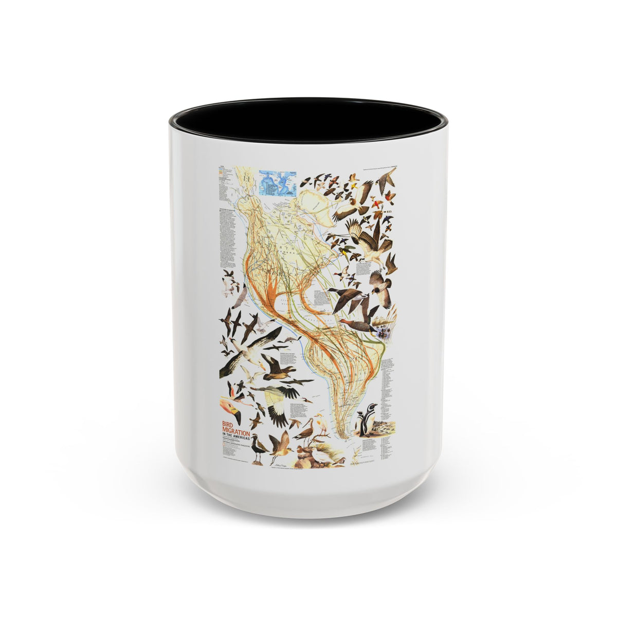 America - Bird Migration (1969) (Map) Accent Coffee Mug