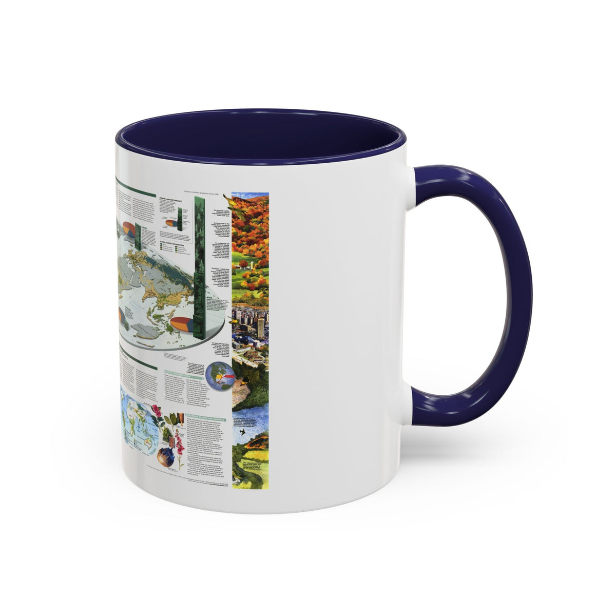 World Map - Biodiversity (1999) (Map) Accent Coffee Mug