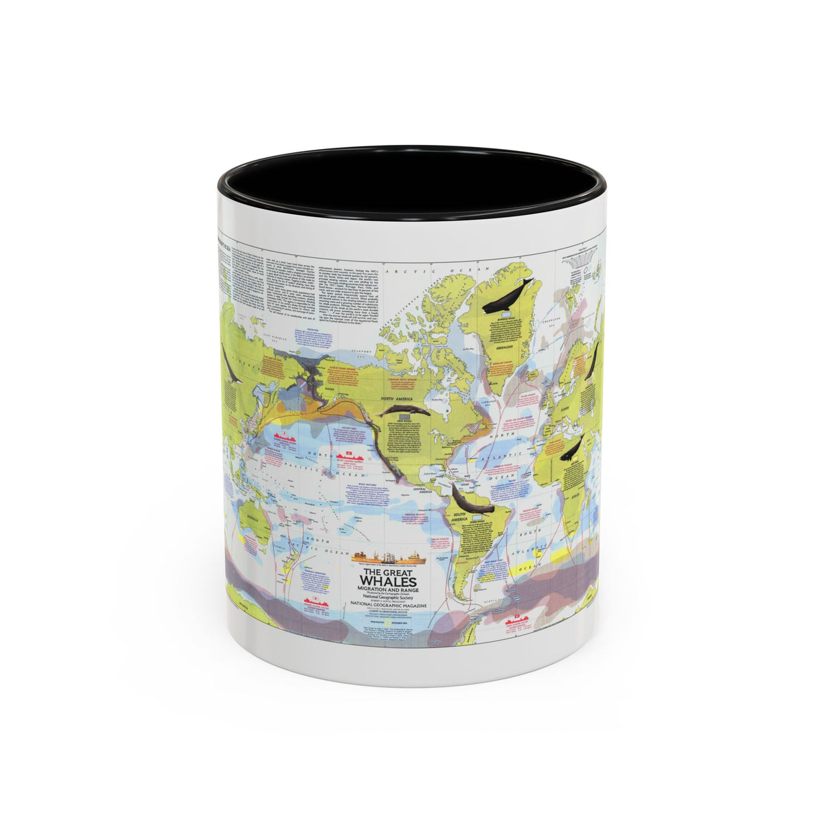 Great Whales, Migration and Range (1976) (Map) Accent Coffee Mug