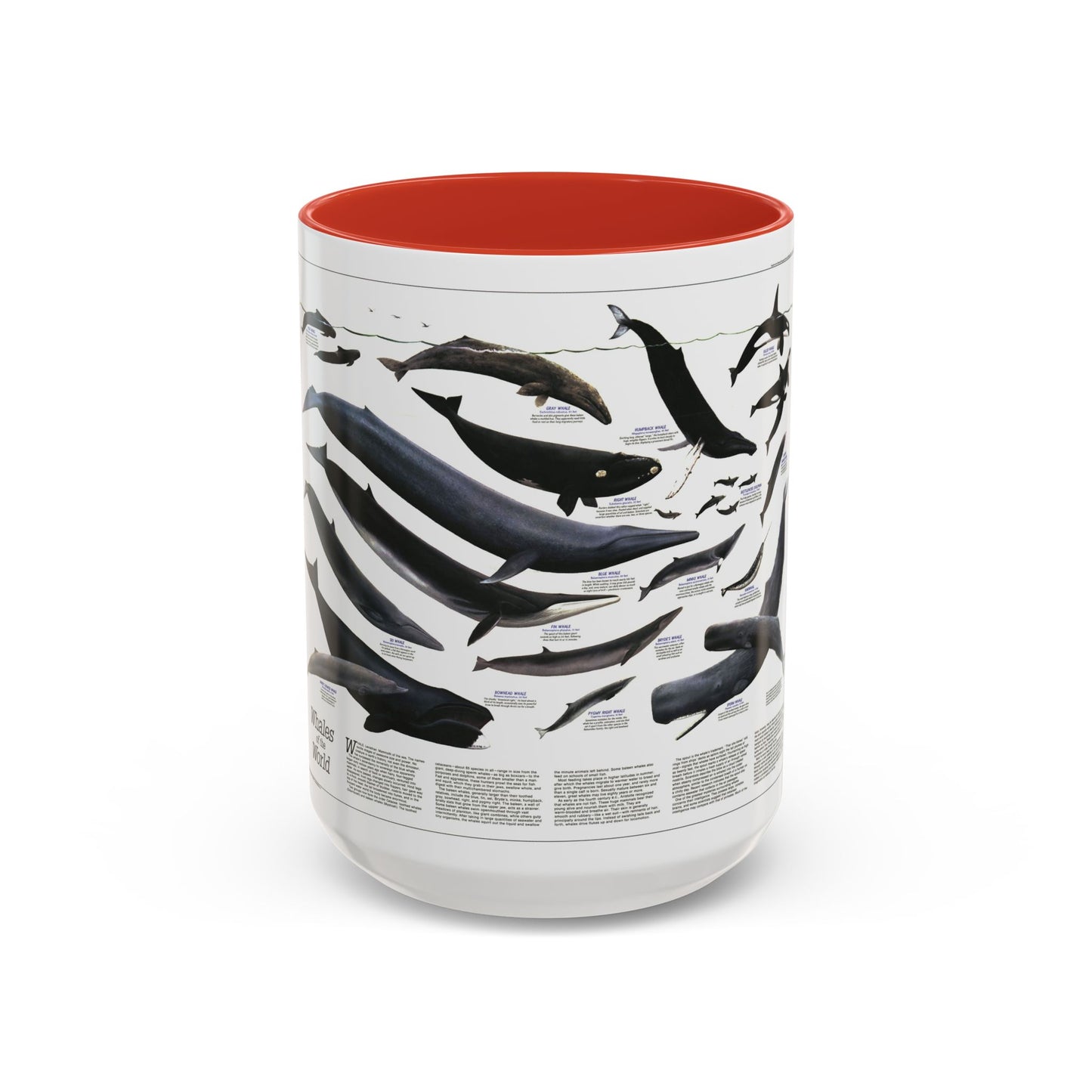 Great Whales of the World (1976) (Map) Accent Coffee Mug