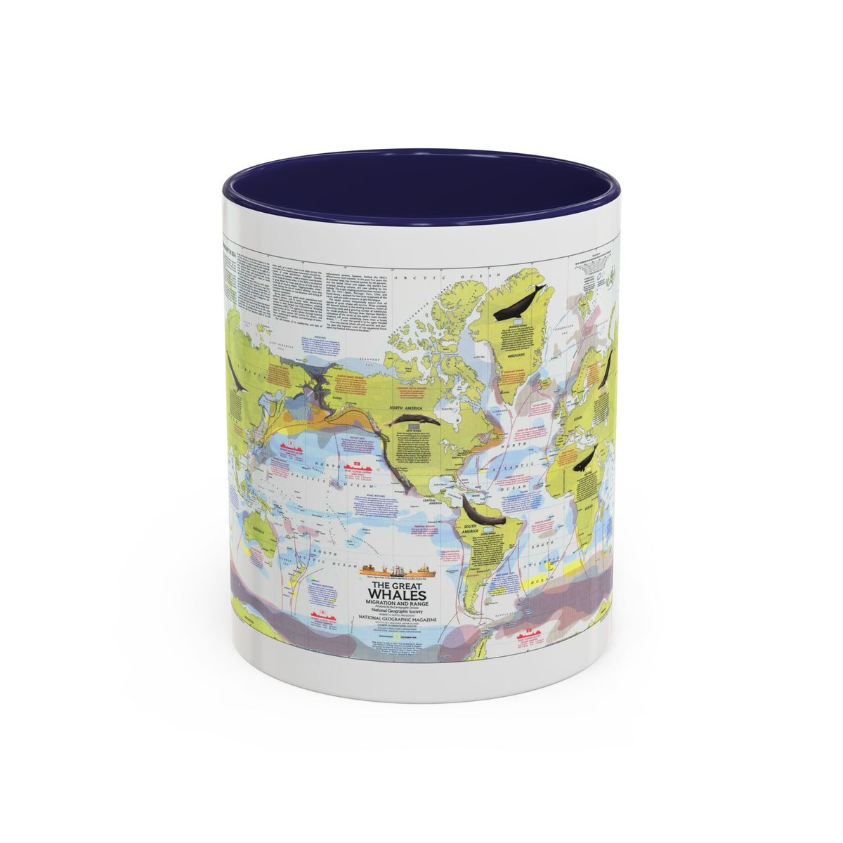 Great Whales, Migration and Range (1976) (Map) Accent Coffee Mug