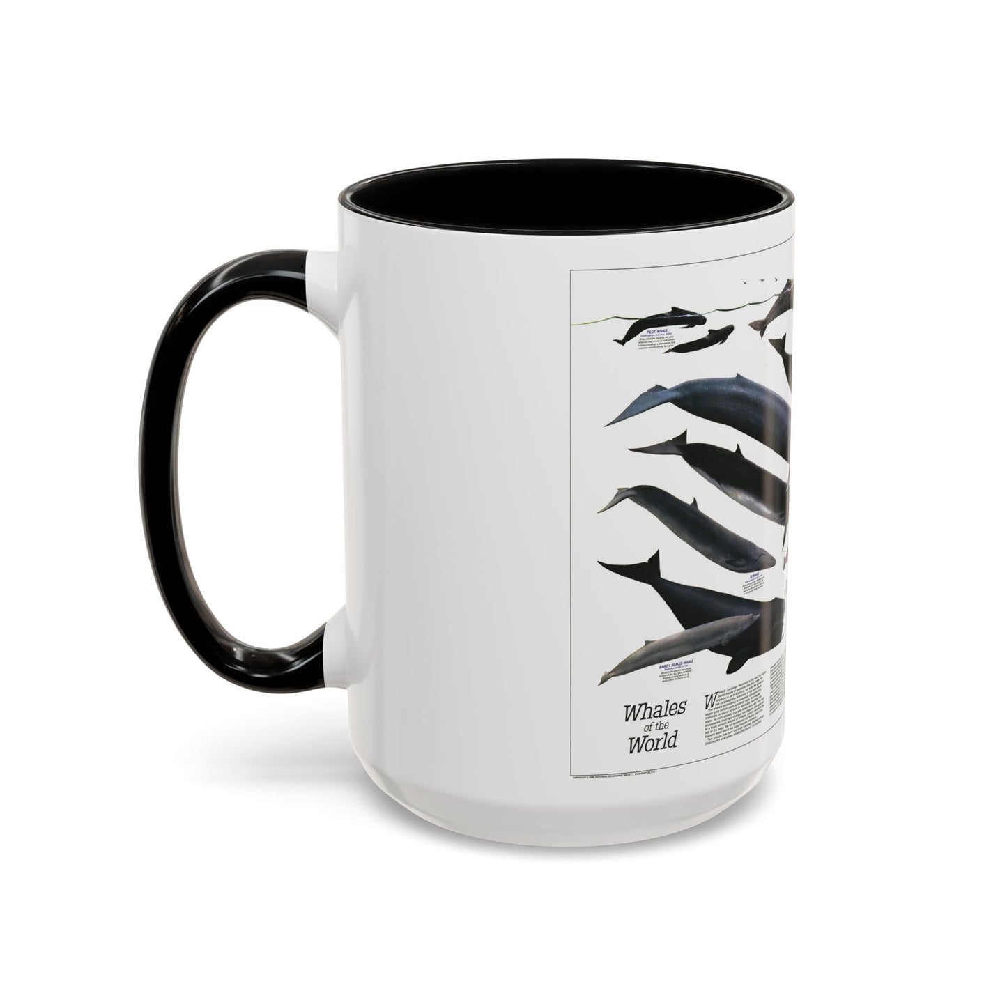 Great Whales of the World (1976) (Map) Accent Coffee Mug