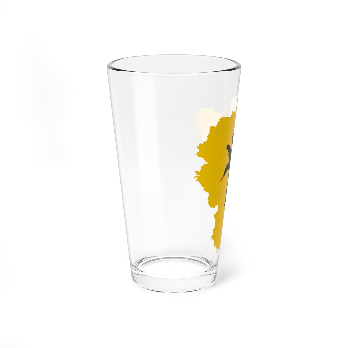 Flag-map of Yaroslavl Oblast (Russia) Pint Glass 16oz