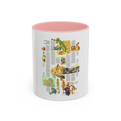 USA - California and Nevada 2 (1974) (Map) Accent Coffee Mug