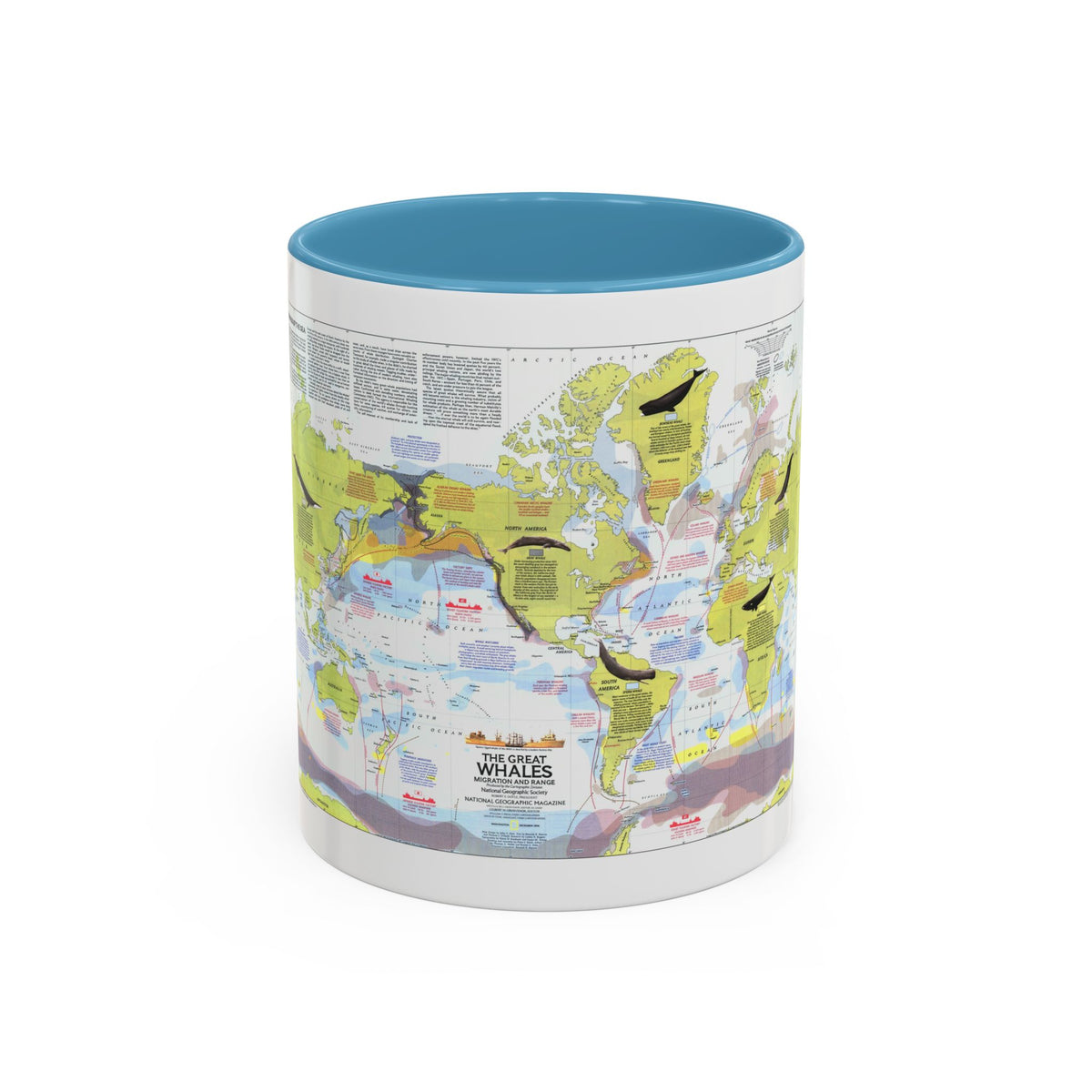 Great Whales, Migration and Range (1976) (Map) Accent Coffee Mug