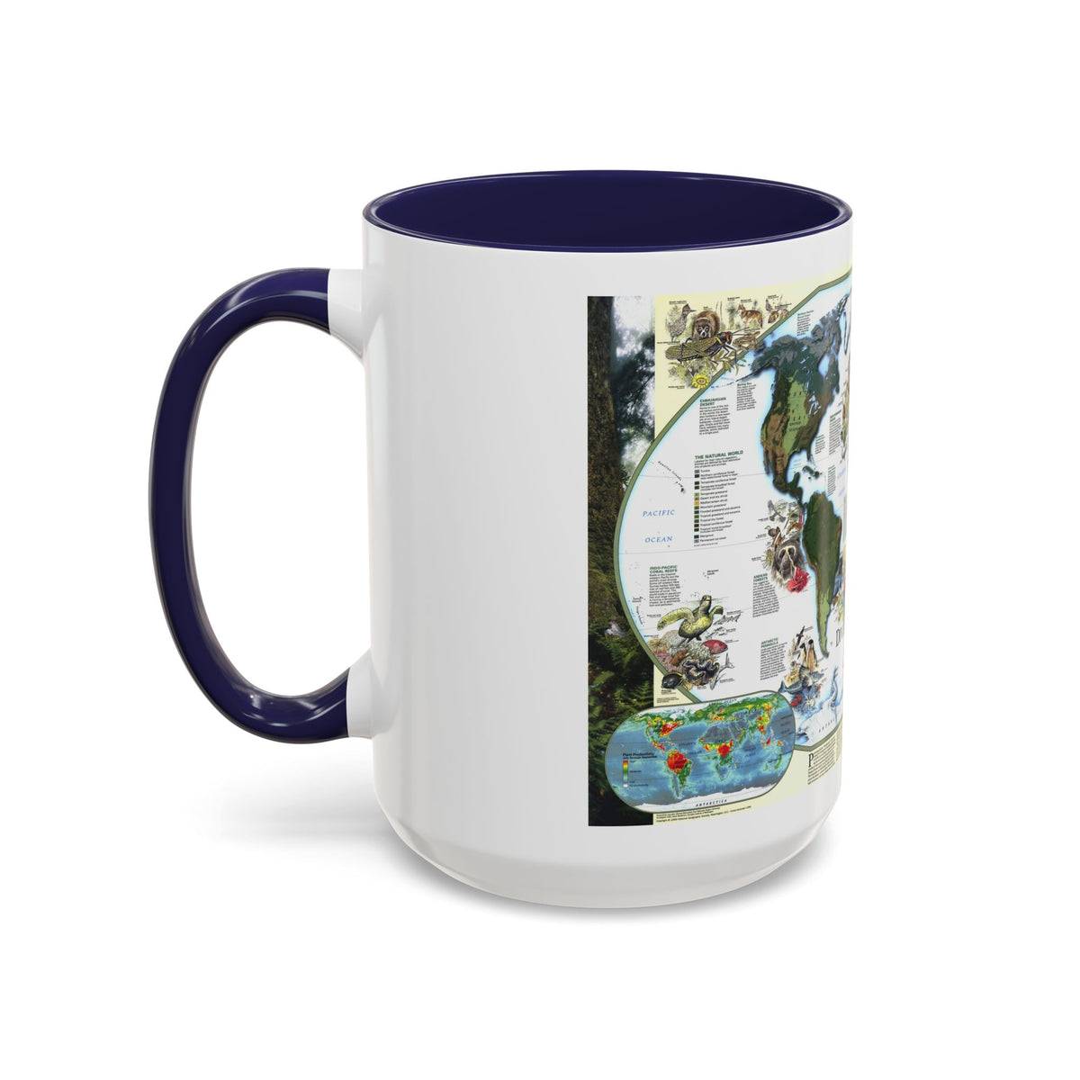 World Map - Diversity of Life (1999) (Map) Accent Coffee Mug