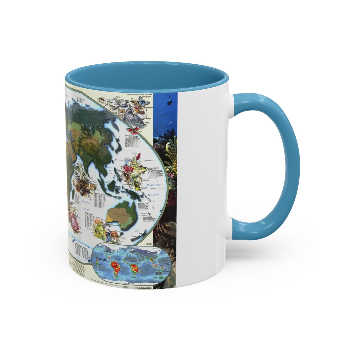 World Map - Diversity of Life (1999) (Map) Accent Coffee Mug