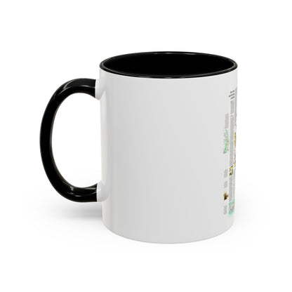 USA - Florida 2 (1973) (Map) Accent Coffee Mug