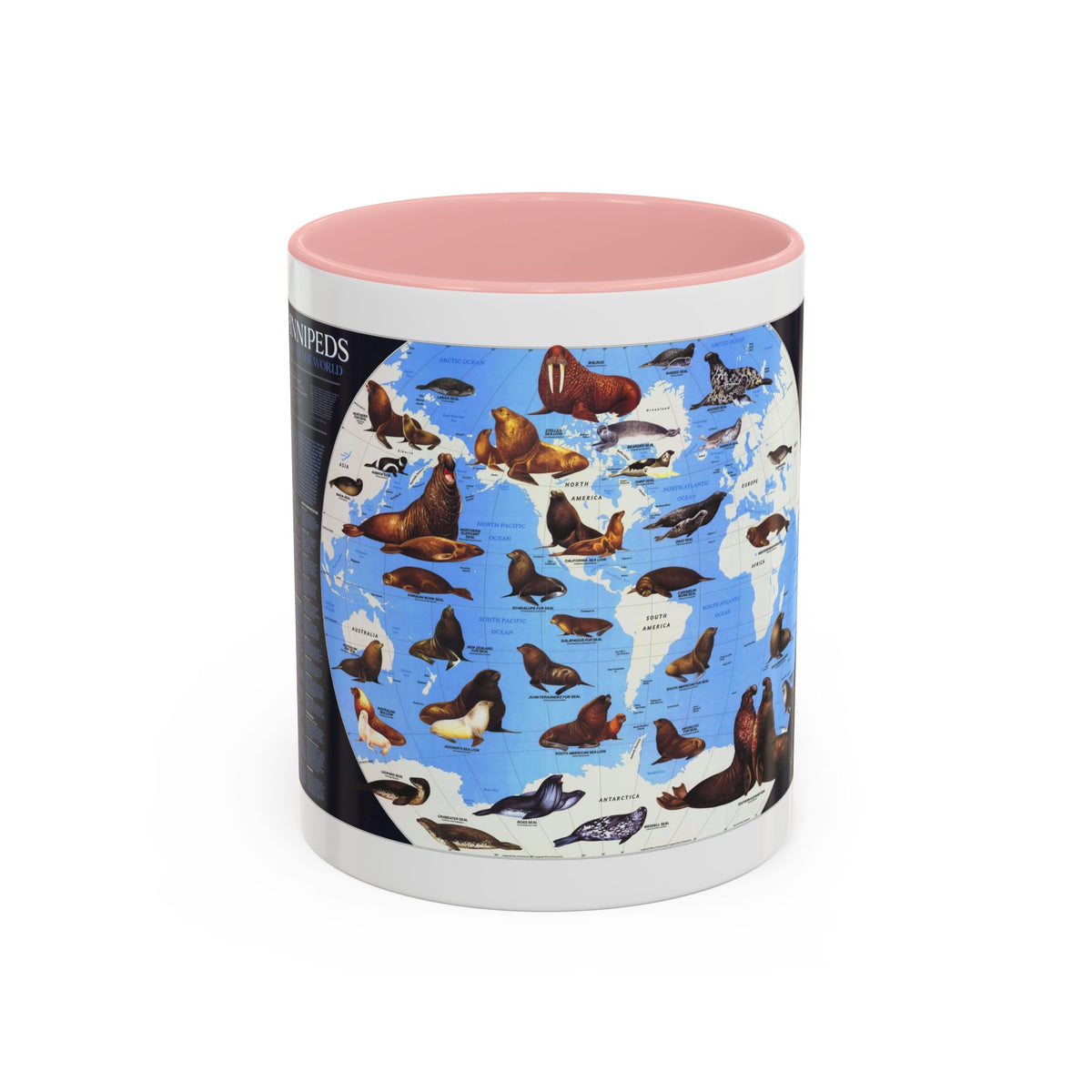 Pinnipeds Around the World (1987) (Map) Accent Coffee Mug