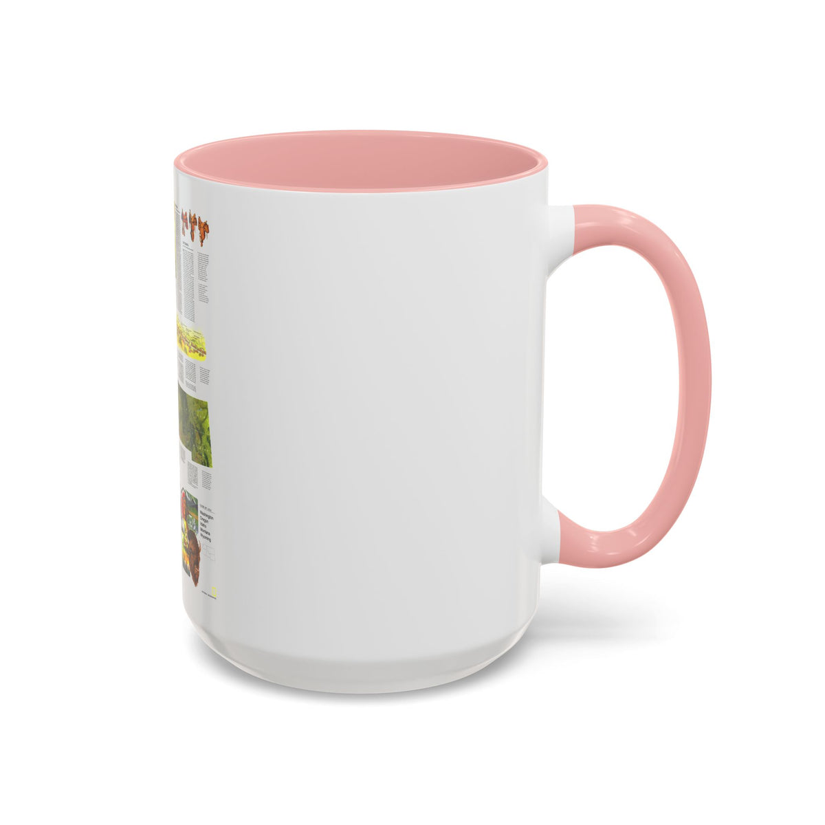 USA - Northwest 2 (1973) (Map) Accent Coffee Mug