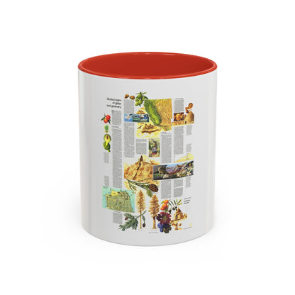 USA - California and Nevada 2 (1974) (Map) Accent Coffee Mug