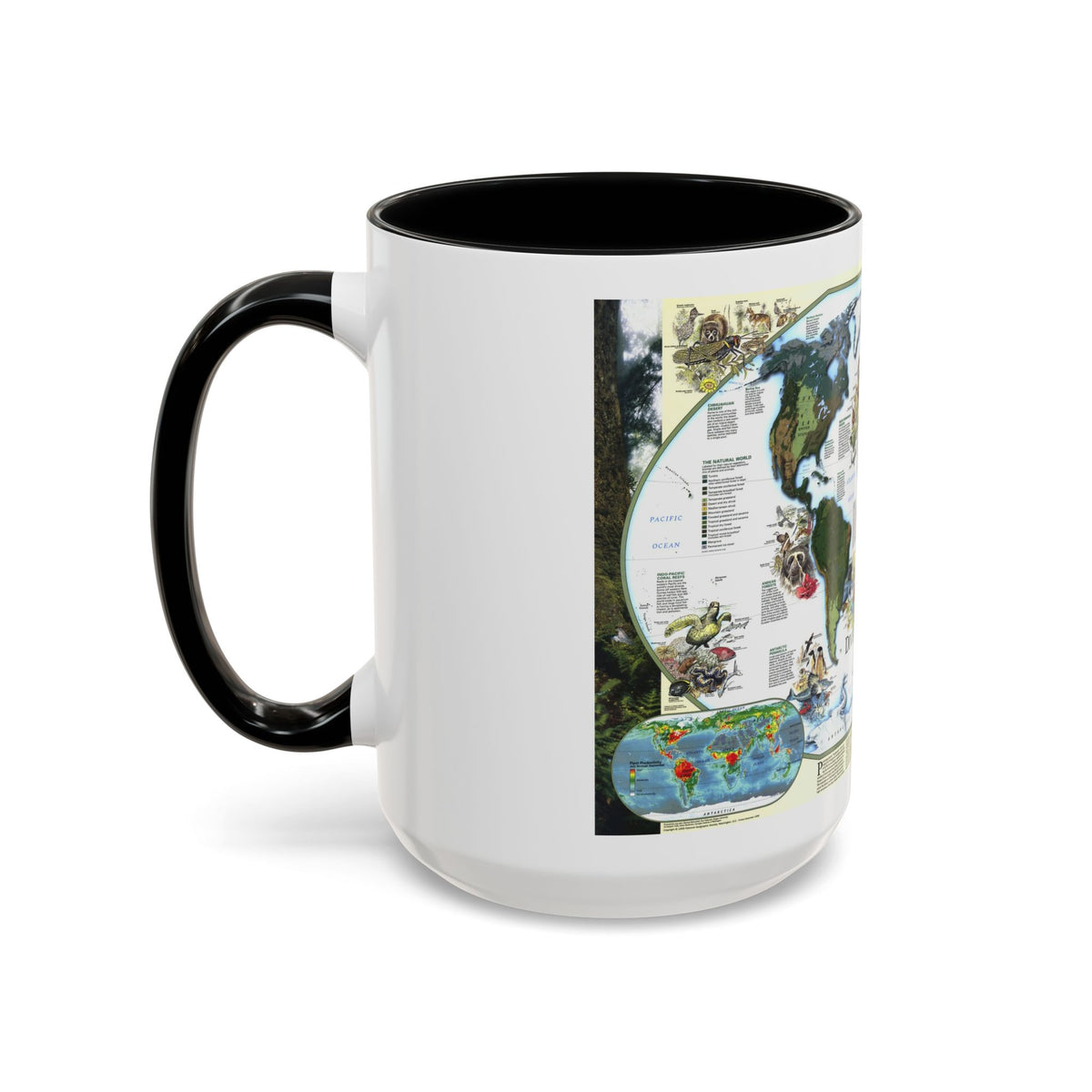World Map - Diversity of Life (1999) (Map) Accent Coffee Mug