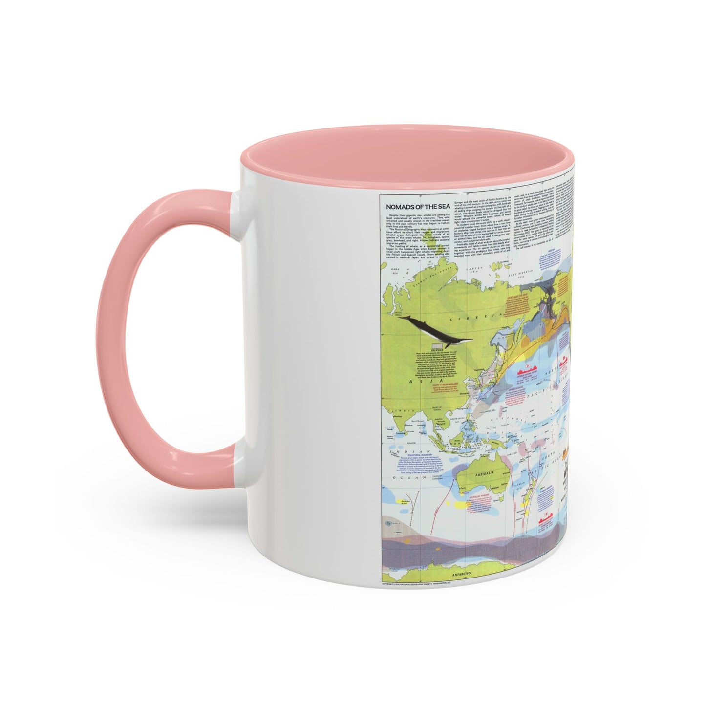 Great Whales, Migration and Range (1976) (Map) Accent Coffee Mug