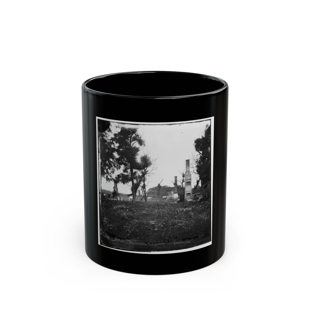 Black and white scene of brick chimneys standing among ruins and trees above a field of wildflowers.