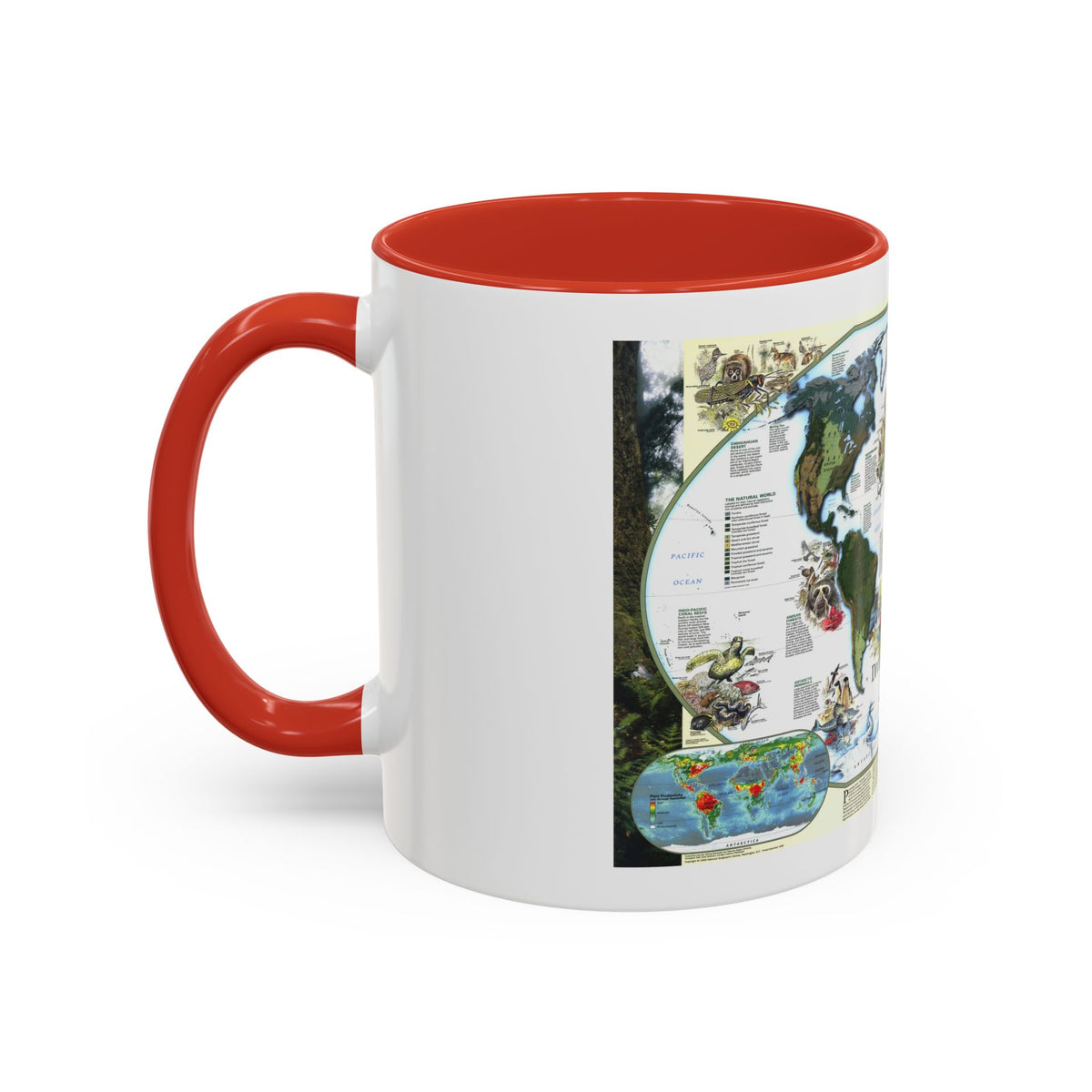 World Map - Diversity of Life (1999) (Map) Accent Coffee Mug