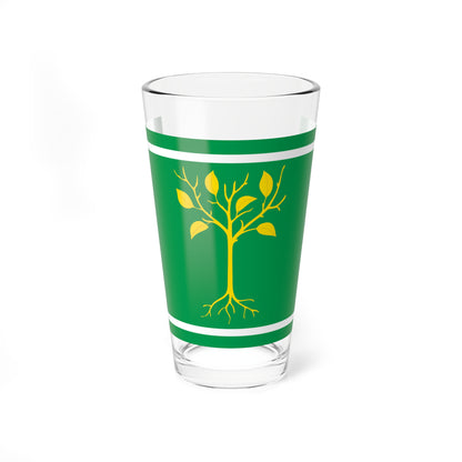 Flag of Chertanovo Tsentralnoye (Russia) Pint Glass 16oz