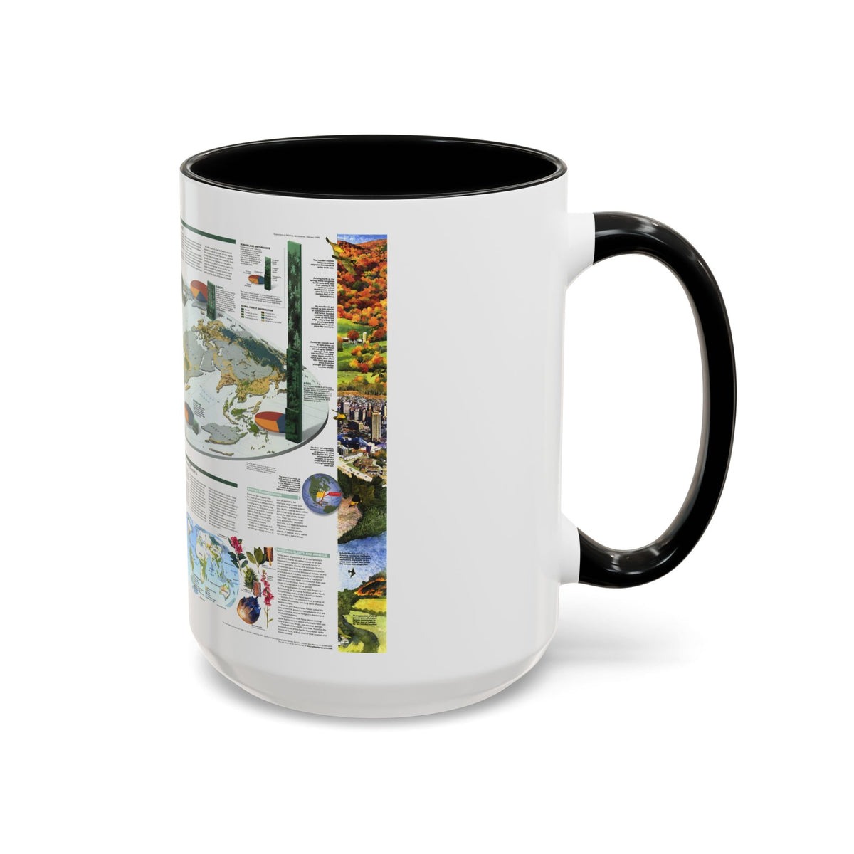 World Map - Biodiversity (1999) (Map) Accent Coffee Mug