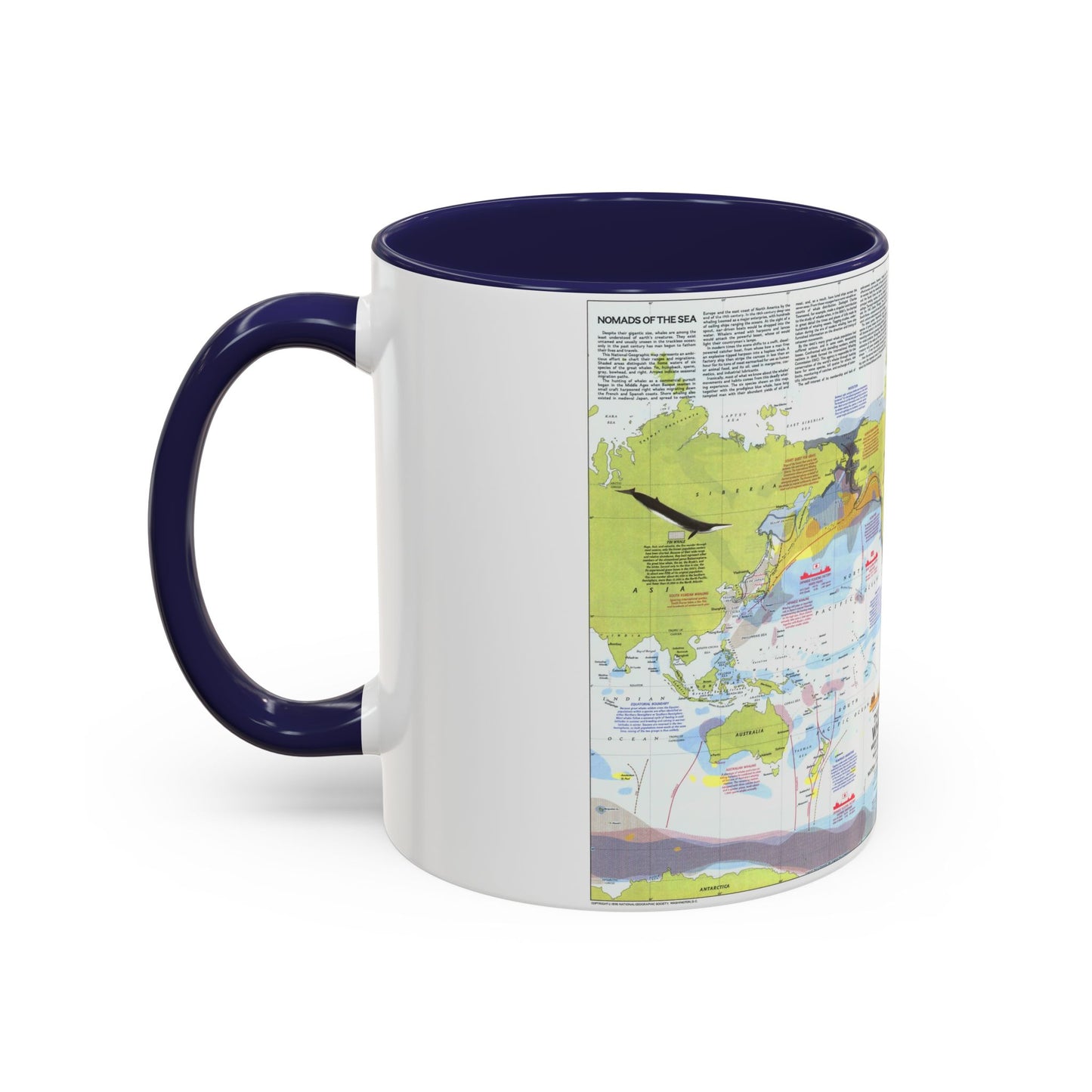 Grandes baleines, migration et aire de répartition (1976) (carte) Tasse à café décorative