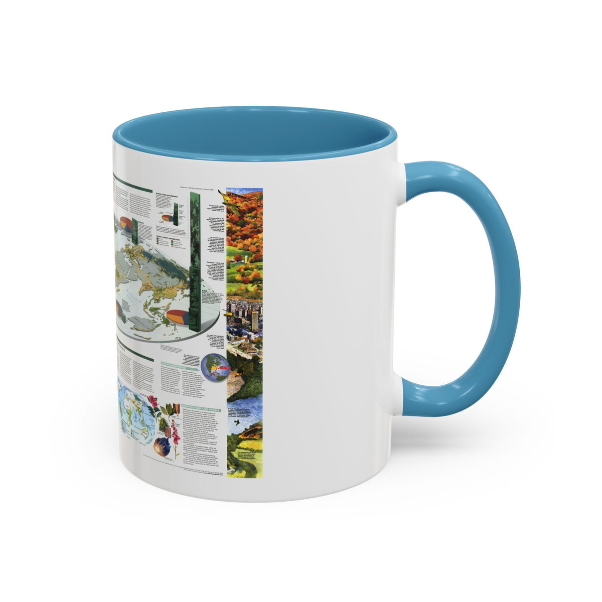 World Map - Biodiversity (1999) (Map) Accent Coffee Mug