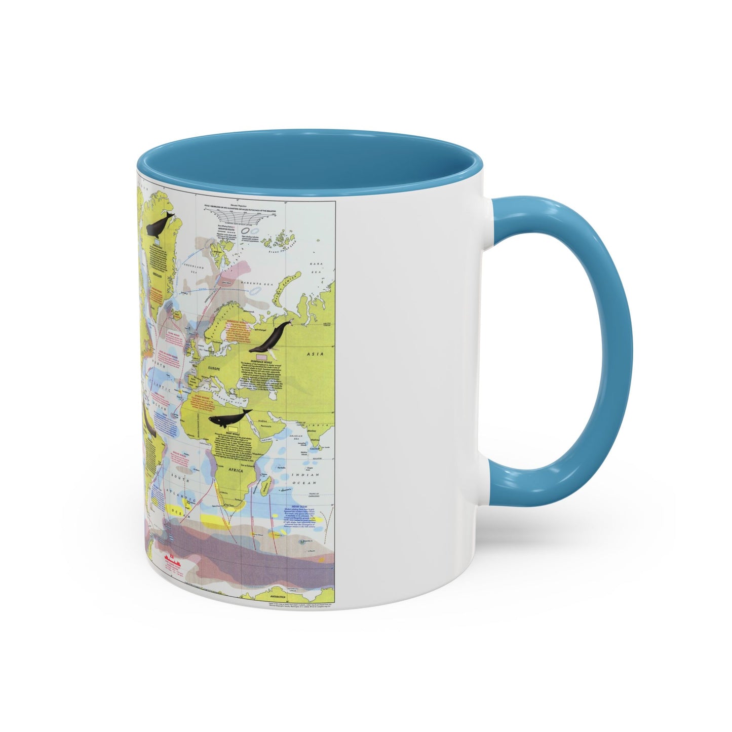 Great Whales, Migration and Range (1976) (Map) Accent Coffee Mug