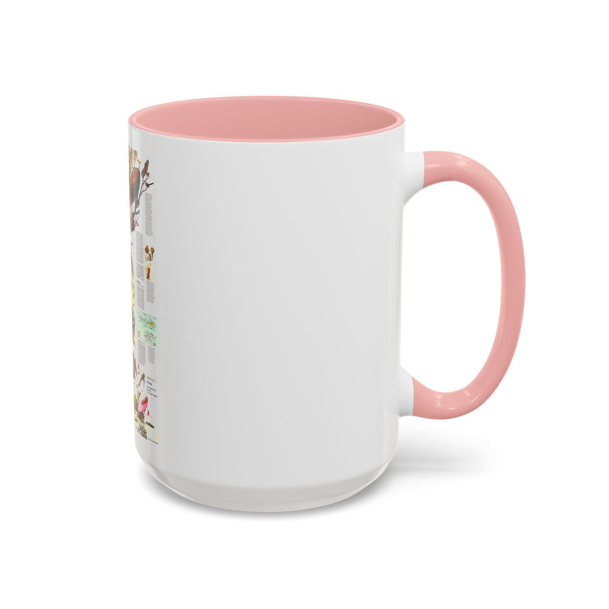 USA - Florida 2 (1973) (Map) Accent Coffee Mug