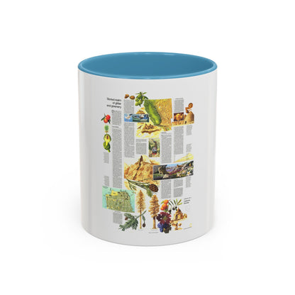 USA - California and Nevada 2 (1974) (Map) Accent Coffee Mug