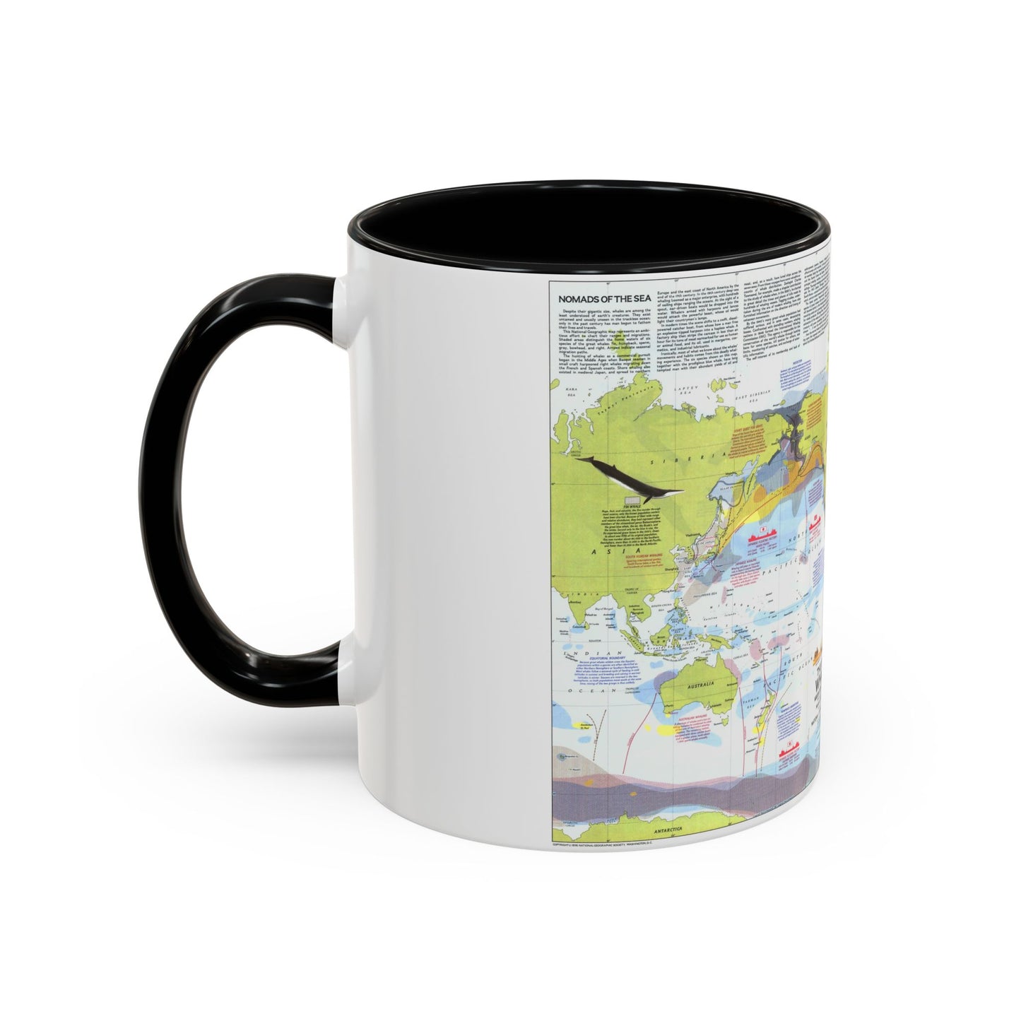 Grandes baleines, migration et aire de répartition (1976) (carte) Tasse à café décorative