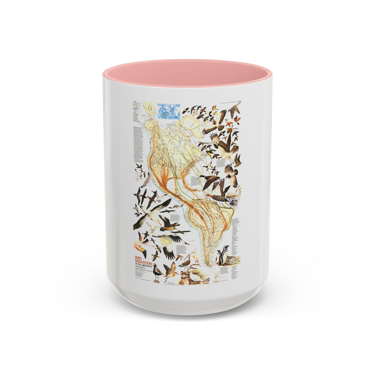 America - Bird Migration (1969) (Map) Accent Coffee Mug