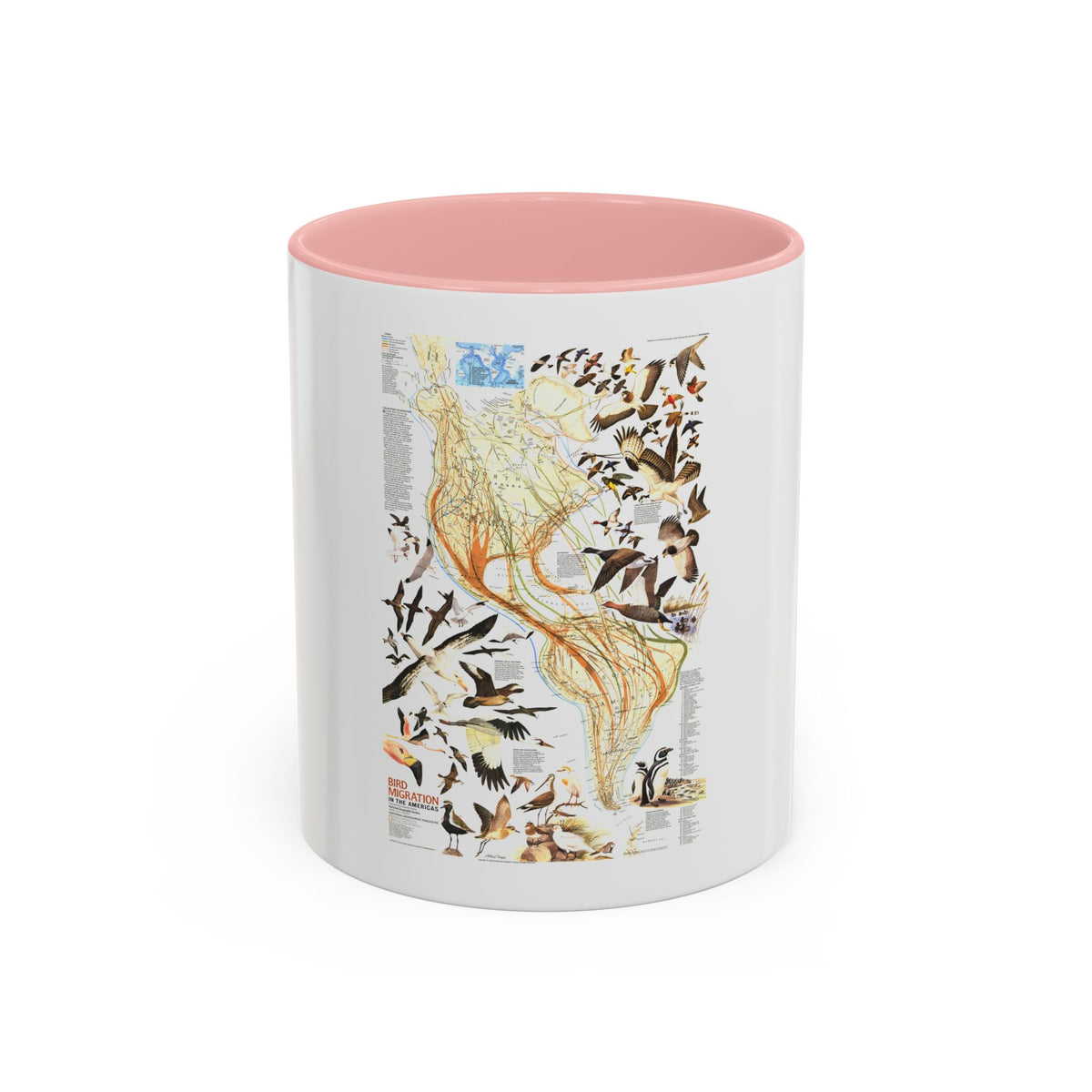 America - Bird Migration (1969) (Map) Accent Coffee Mug