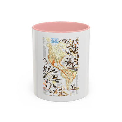 America - Bird Migration (1969) (Map) Accent Coffee Mug