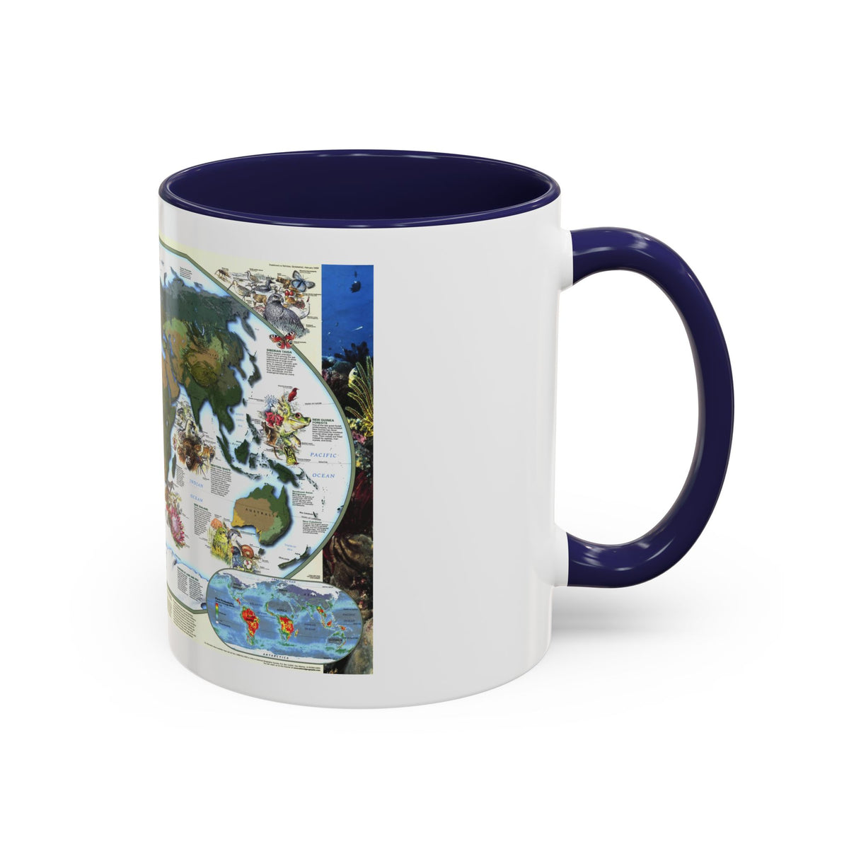 World Map - Diversity of Life (1999) (Map) Accent Coffee Mug